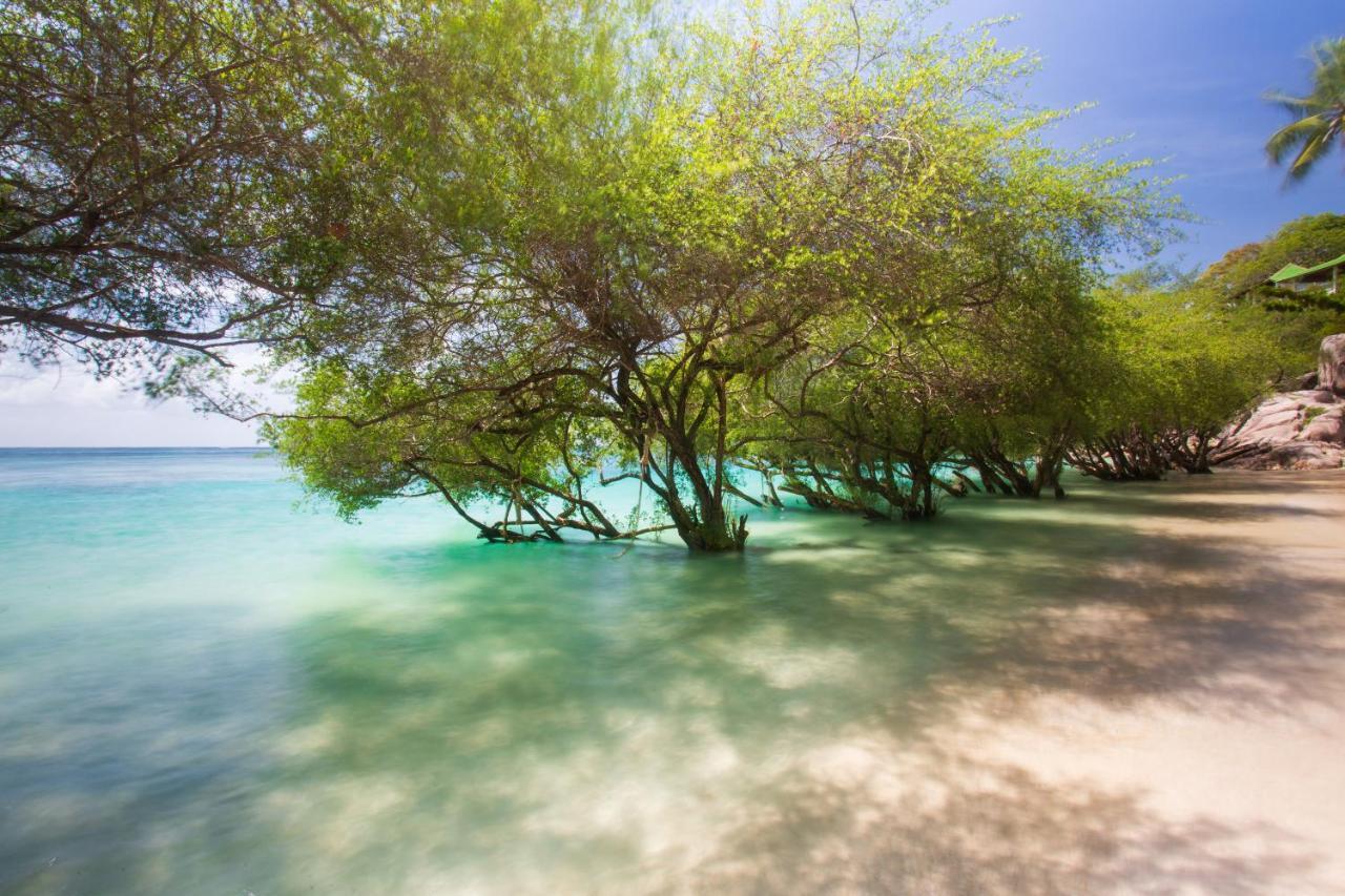Koh Tao Relax Freedom Beach Resort Экстерьер фото