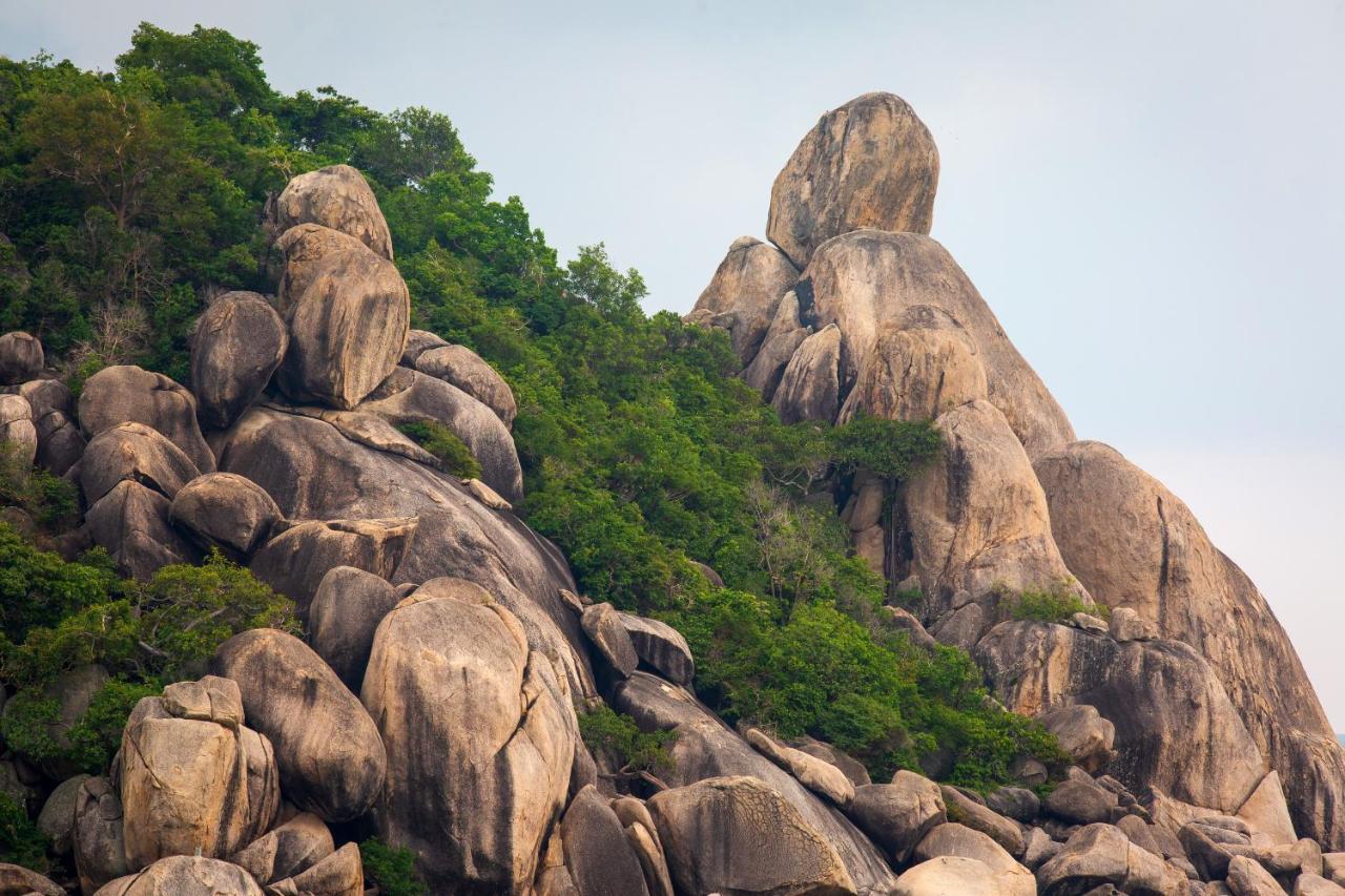 Koh Tao Relax Freedom Beach Resort Экстерьер фото