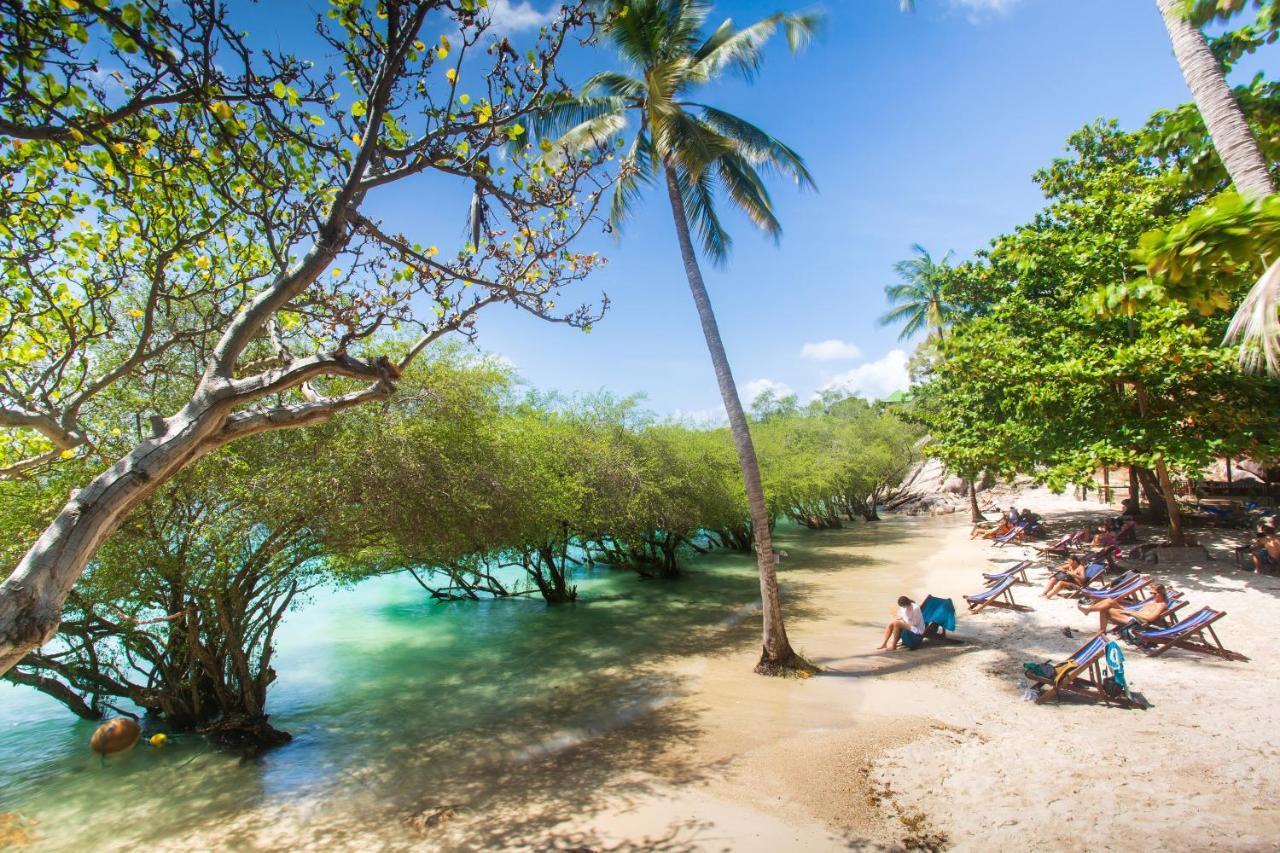 Koh Tao Relax Freedom Beach Resort Экстерьер фото