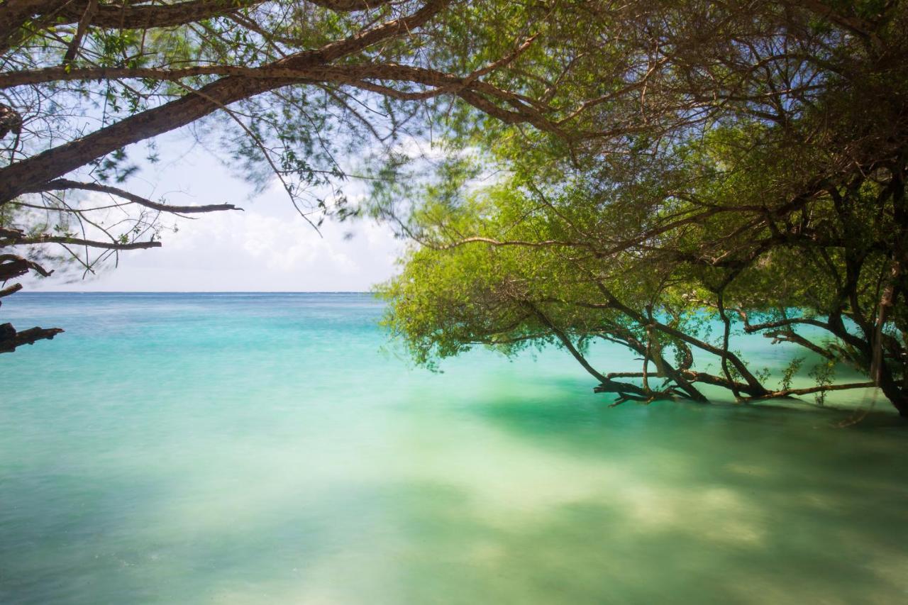 Koh Tao Relax Freedom Beach Resort Экстерьер фото